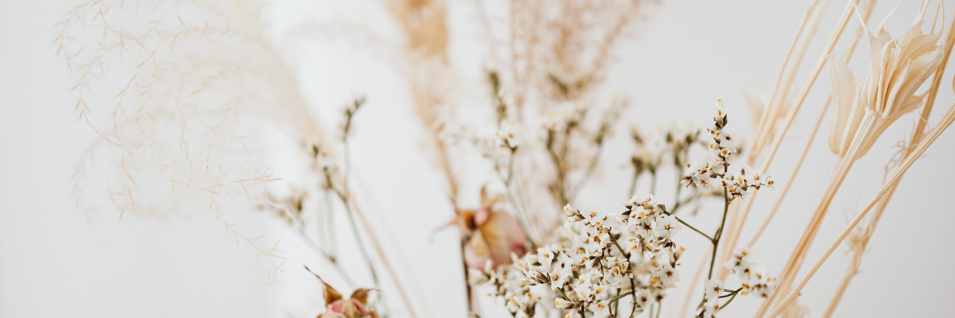 Trockenblumen