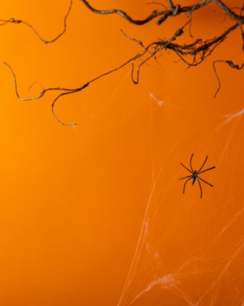 home36.at | Alles für dein stylisches Zuhause