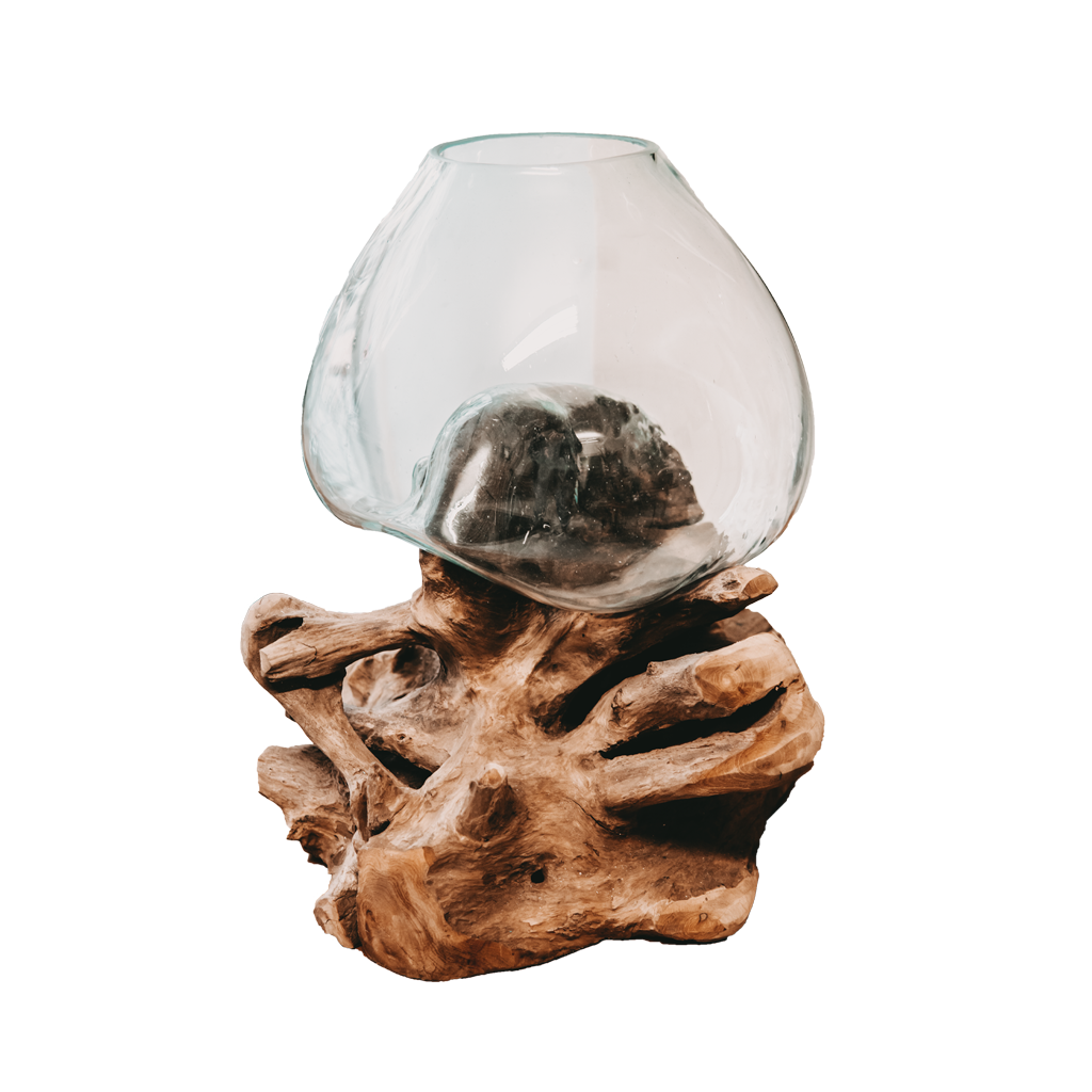 Raíz de teca con jarrón de cristal Teak Flat