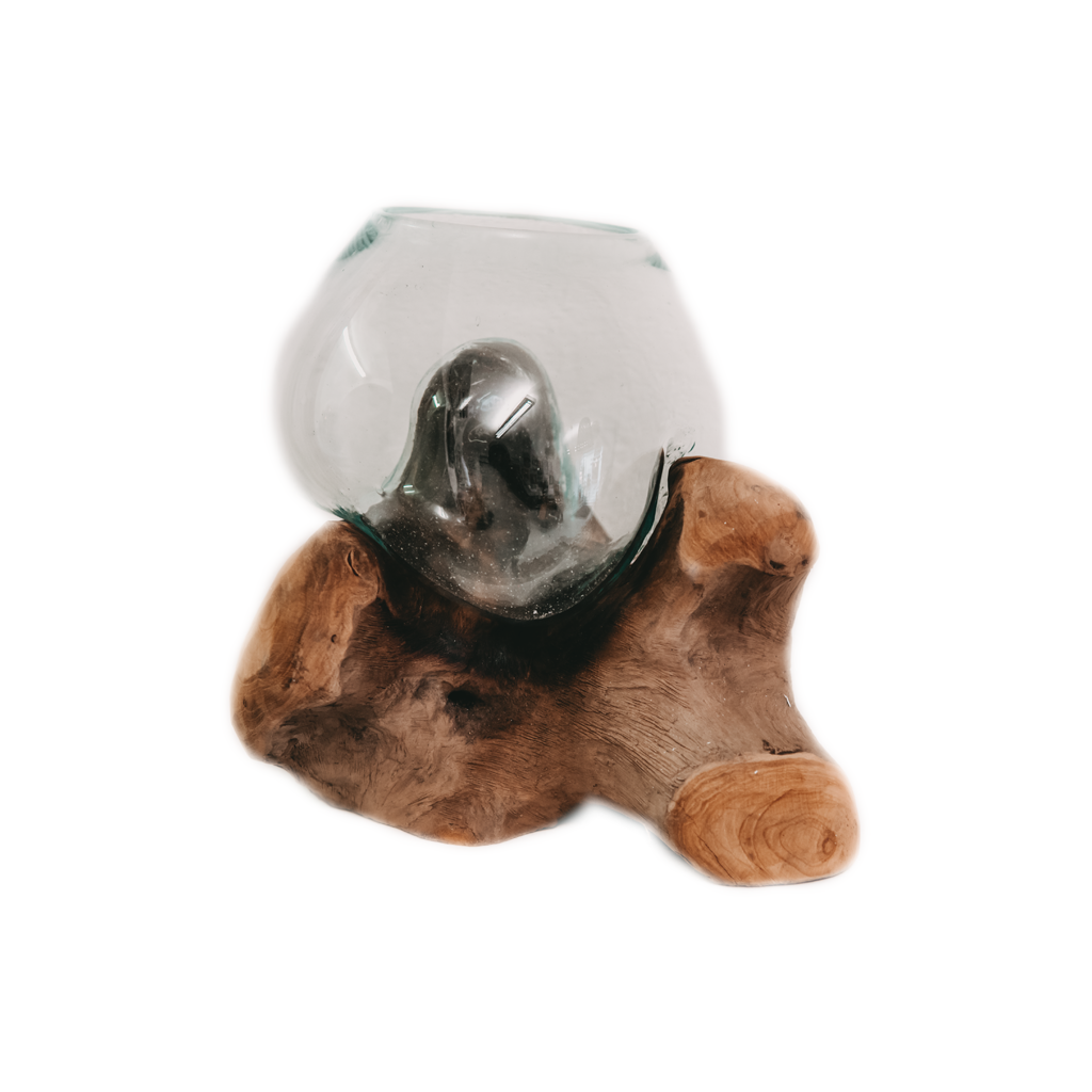 Raíz de teca con jarrón de cristal pequeño.