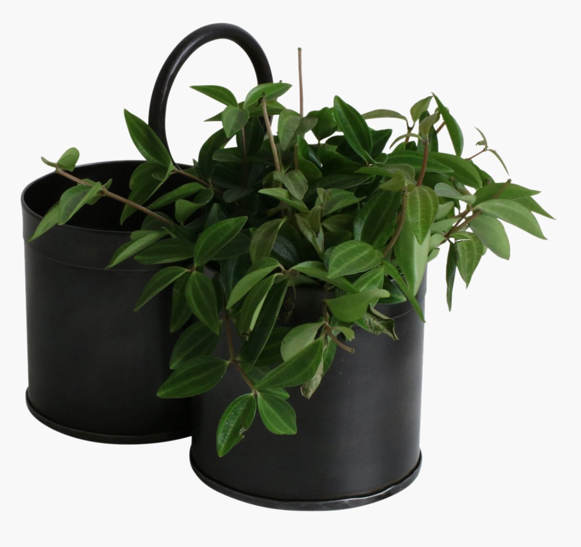 Jardinera Negra