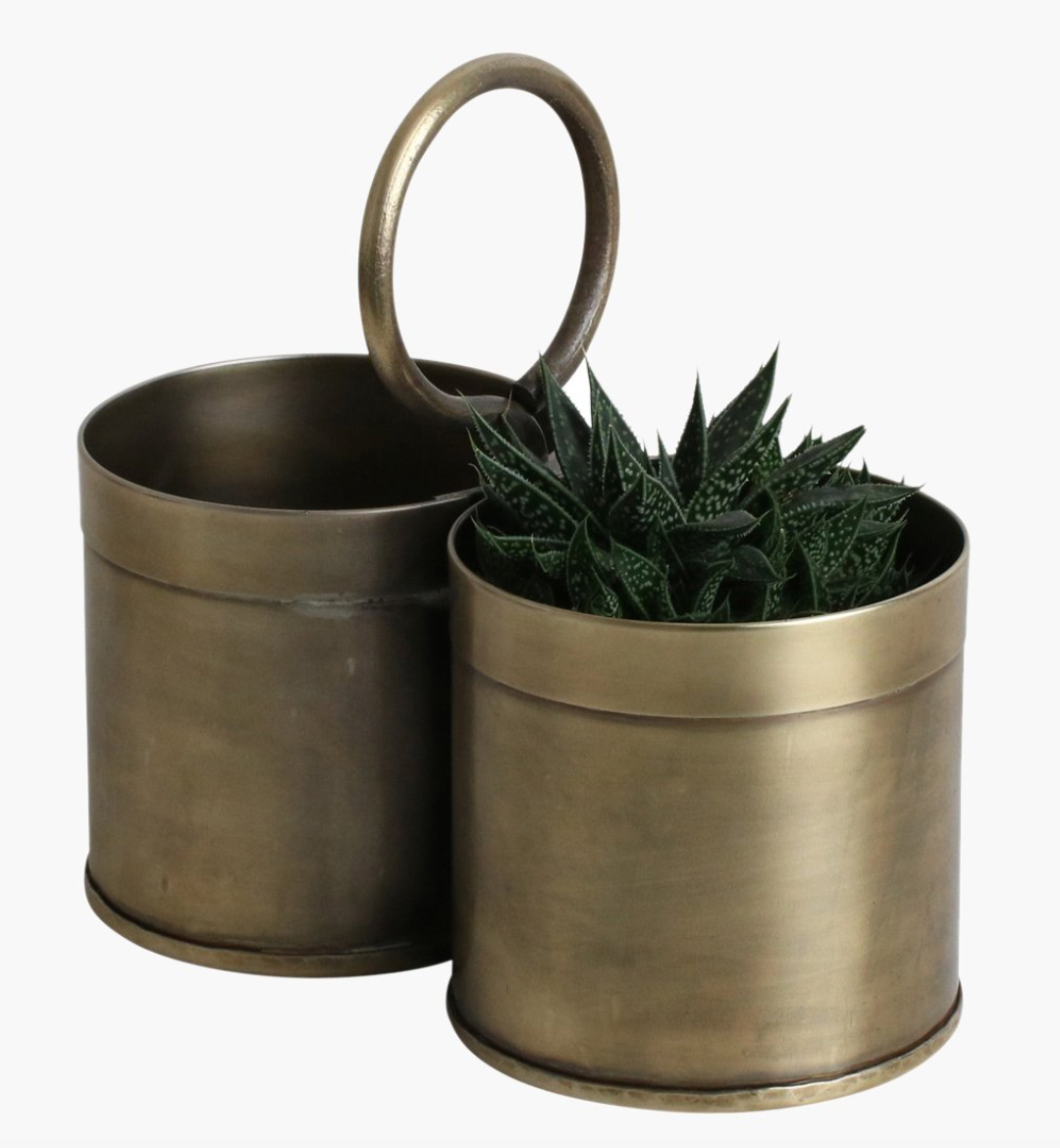 Jardinera de oro