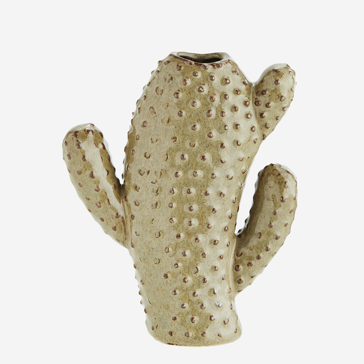 Vase cactus in two sizes
