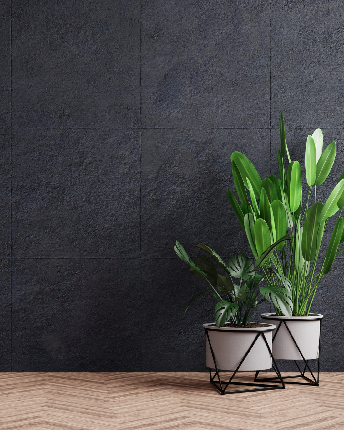 home36.at | Alles für dein stylisches Zuhause 