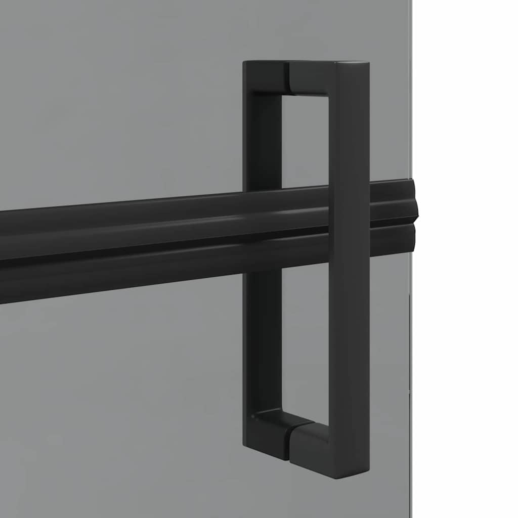 Walk-in Duschwand Schwarz und dunkel-transparent 80 x 190 cm