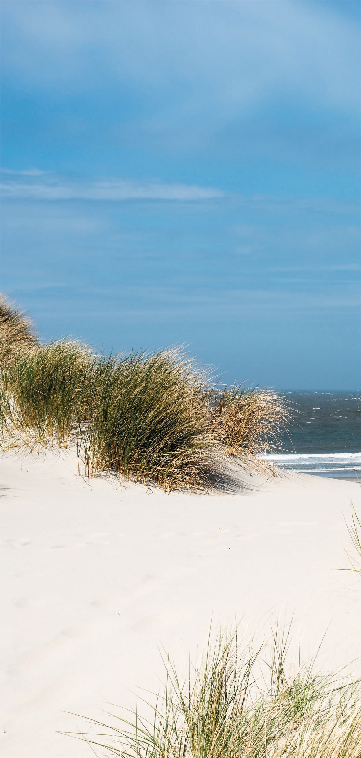 Conjunto de pared trasera de ducha NORDSEE izquierda/derecha en 2 tamaños diferentes