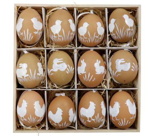 Egg box "country life" set of 12