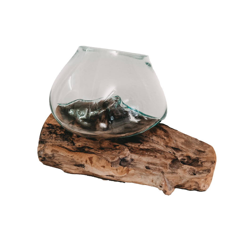 Teak root with glass vase Small