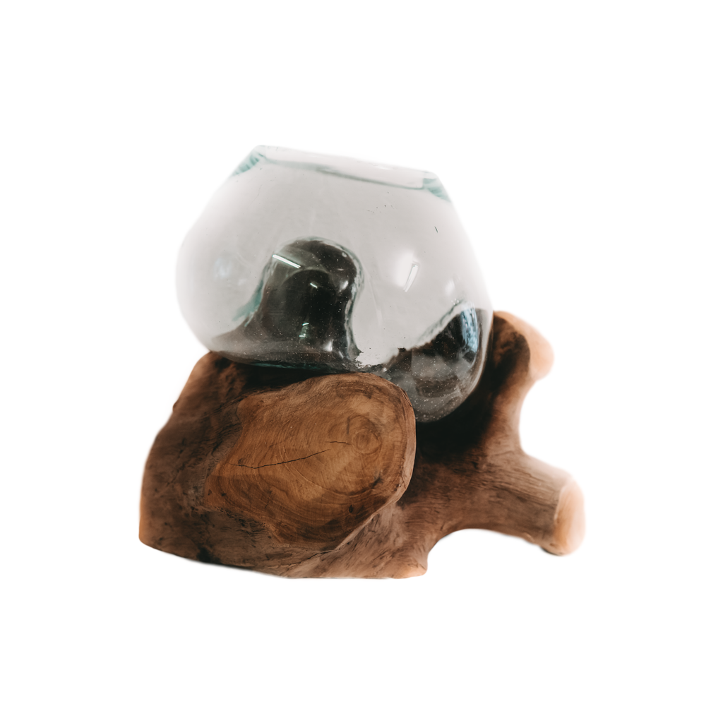 Teakwurzel mit Glasvase Small