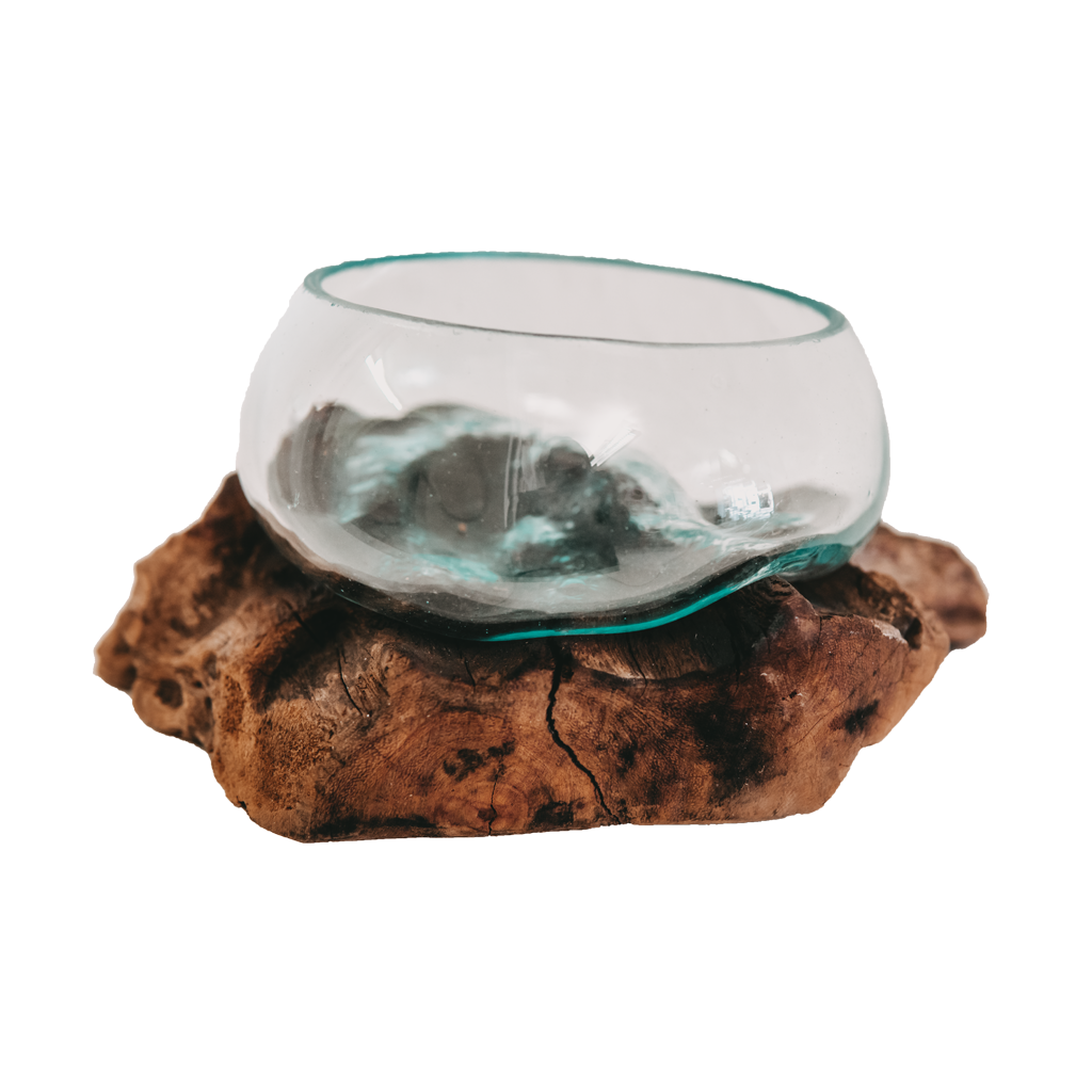 Raíz de teca con jarrón de cristal Mini gancho grande