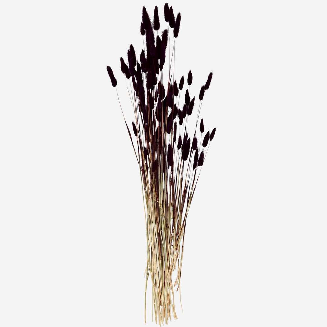 Dried Velvet Grass Fuchsia